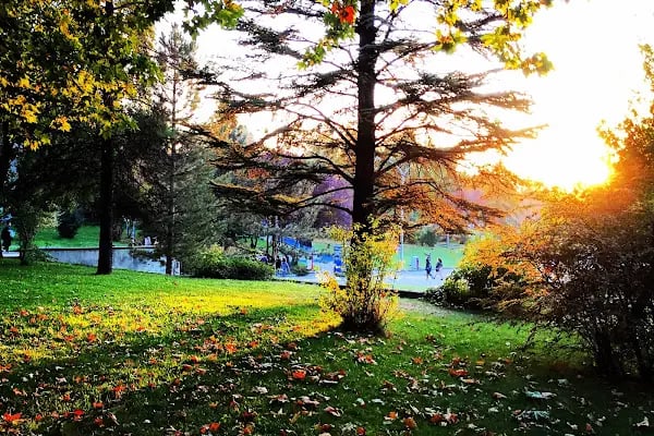 Hacettepe Üniversitesi Sıhhiye Yerleşkesi - Resim 11