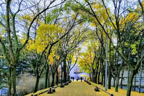 Hacettepe Üniversitesi Sıhhiye Yerleşkesi - Resim 16