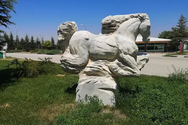 Hacettepe Üniversitesi Sıhhiye Yerleşkesi - Resim 19