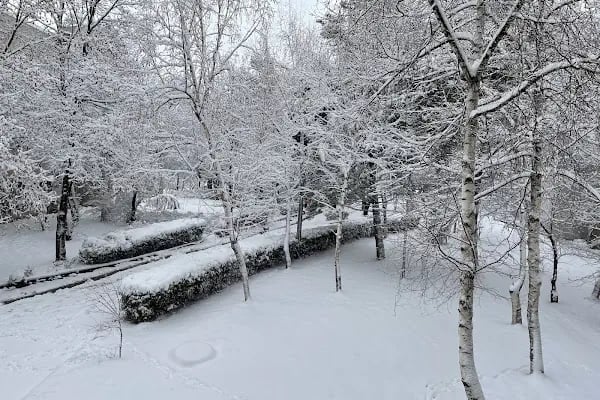 Hacettepe Üniversitesi Sıhhiye Yerleşkesi - Resim 5