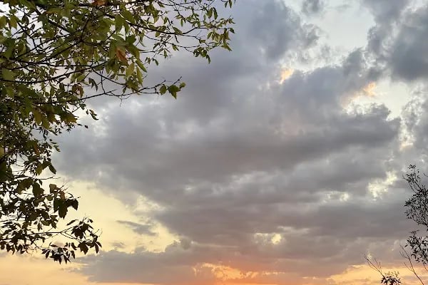 Hacettepe Üniversitesi Sıhhiye Yerleşkesi - Resim 13