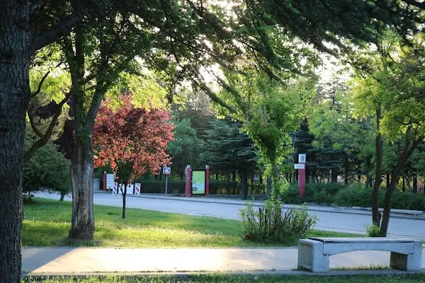 Hacettepe Üniversitesi Sıhhiye Yerleşkesi - Resim 7