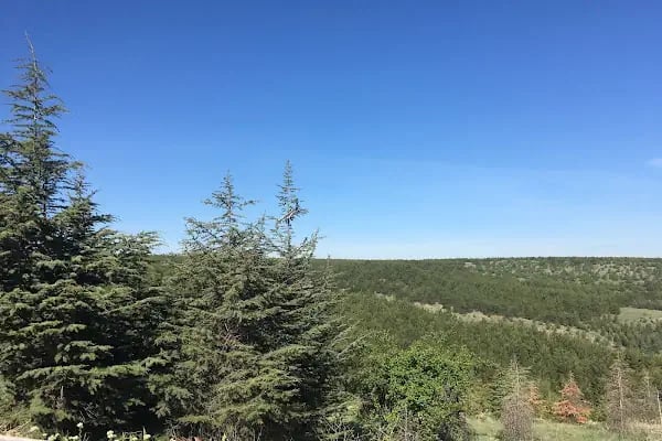 Hacettepe Üniversitesi Sıhhiye Yerleşkesi - Resim 17
