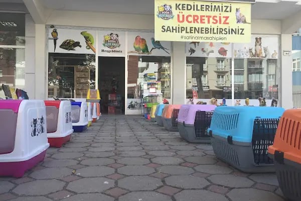 DOĞA PETSHOP - Resim 1