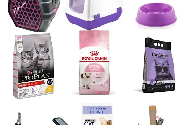 DOĞA PETSHOP - Resim 6