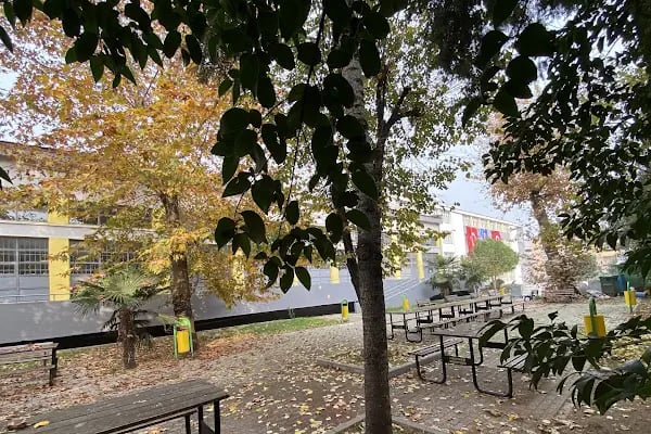 Çınar Anadolu Lisesi - Resim 5