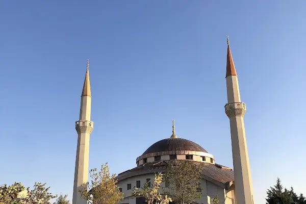Kahramanmaraş Sütçü İmam Üniversitesi - Resim 4
