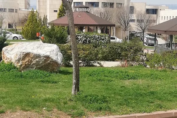 Kahramanmaraş Sütçü İmam Üniversitesi - Resim 19