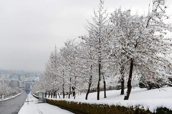 Kahramanmaraş Sütçü İmam Üniversitesi - Resim 10