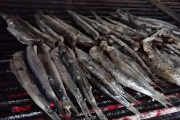 kanarya balık restaurant - Resim 5