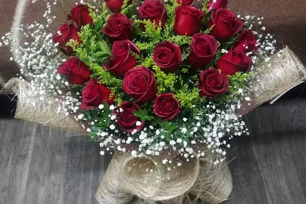 FİNİKE ÖZCAN ÇİÇEK / FİNİKE ÇİÇEK - Resim 14