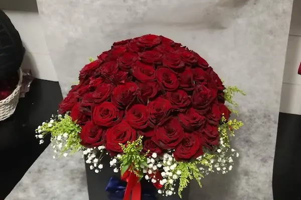 FİNİKE ÖZCAN ÇİÇEK / FİNİKE ÇİÇEK - Resim 20