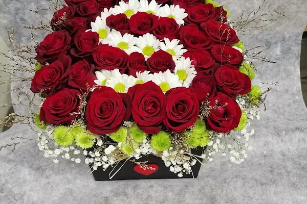 FİNİKE ÖZCAN ÇİÇEK / FİNİKE ÇİÇEK - Resim 19
