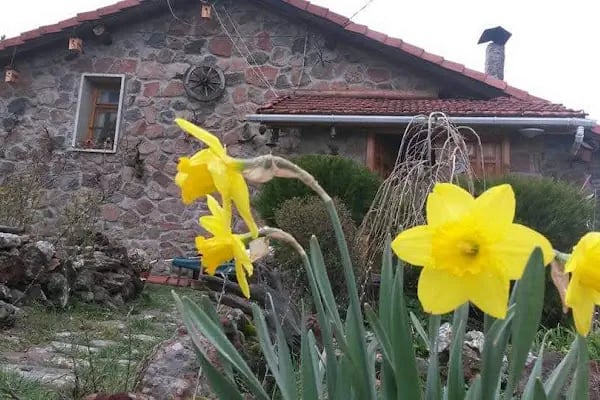 ANKARA BİNİCİLİK İHTİSAS KULÜBÜ BİNİCİLİK RESTAURANT - Resim 11