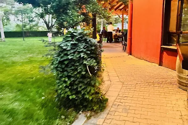 ANKARA BİNİCİLİK İHTİSAS KULÜBÜ BİNİCİLİK RESTAURANT - Resim 14