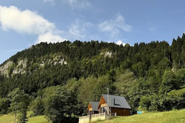 Zambula Bungalov - Resim 10