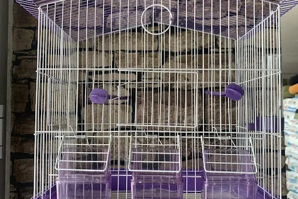 Miyamix Petshop Toptan - Resim 5