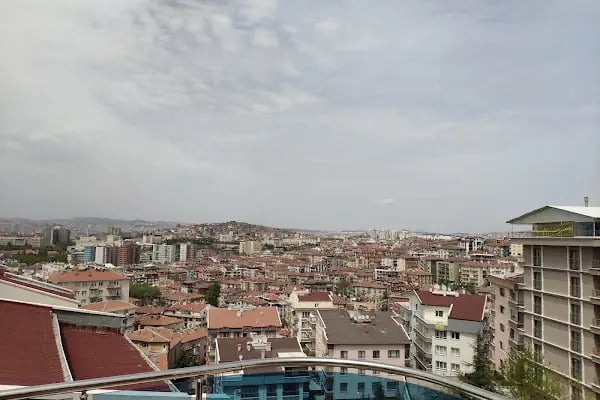 SEDIR REZIDANS - Resim 3