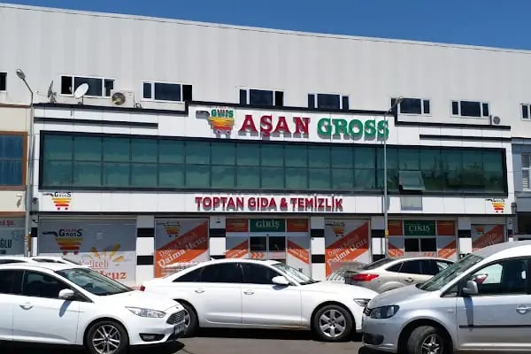 Aşan Gross - Resim 3