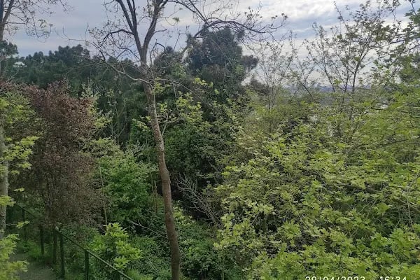 Yuşa Hazretleri Tepesi - Resim 18