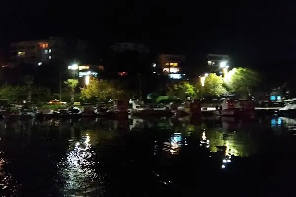 Aliağa Bölge Liman Başkanlığı - Resim 15