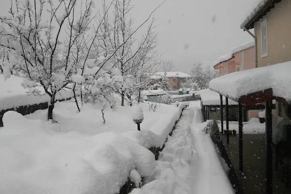Keskin'in Bağı - Resim 19