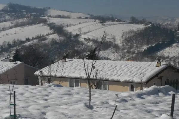 Keskin'in Bağı - Resim 14