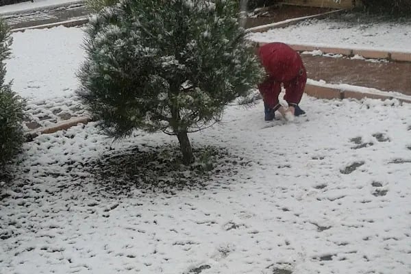 Keskin'in Bağı - Resim 18
