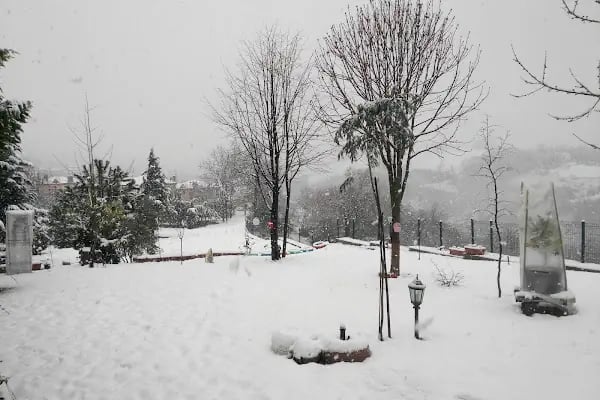 Keskin'in Bağı - Resim 6
