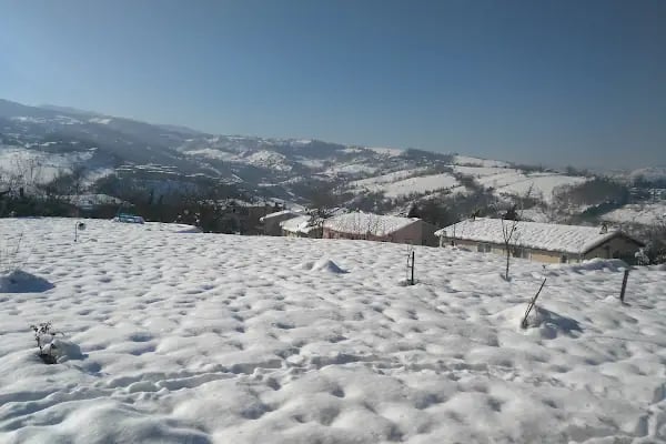 Keskin'in Bağı - Resim 3
