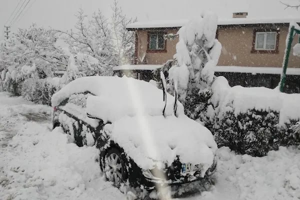Keskin'in Bağı - Resim 8