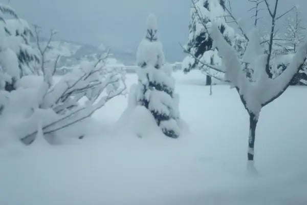 Keskin'in Bağı - Resim 16