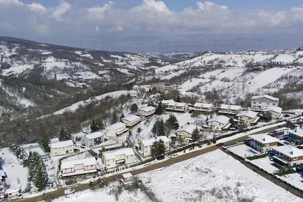 Keskin'in Bağı - Resim 7
