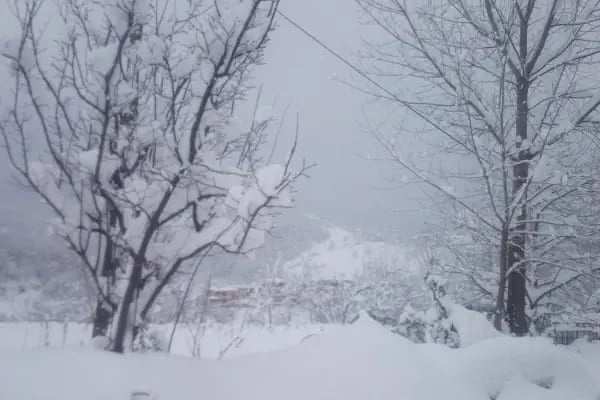 Keskin'in Bağı - Resim 4