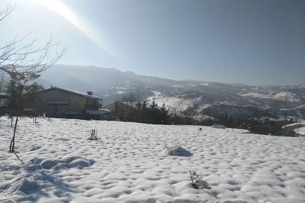 Keskin'in Bağı - Resim 15
