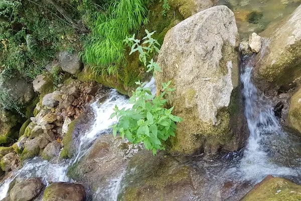 Obruk Şelalesi - Resim 13