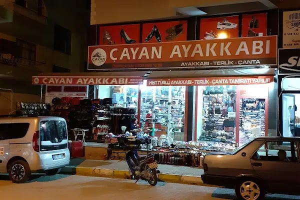 çayan ayakkabı - Resim 6