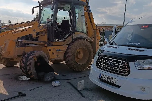 SEVİNÇ OTO LASTİK - Resim 13