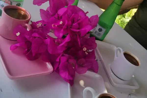 fitnat gürsoy kafe kütüphane - Resim 15
