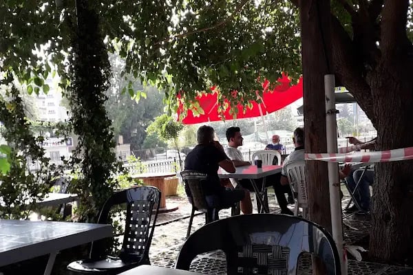 fitnat gürsoy kafe kütüphane - Resim 2