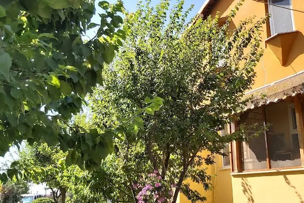 Burçak Sitesi - Resim 16
