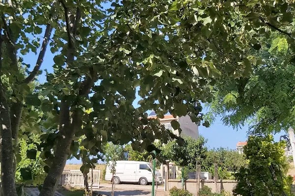 Burçak Sitesi - Resim 12