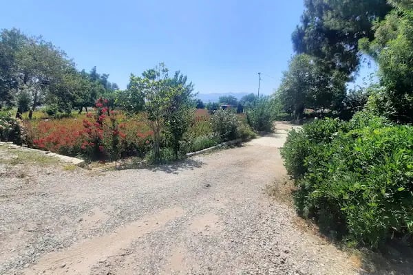 Uğurlu Çiçekçilik - Resim 2