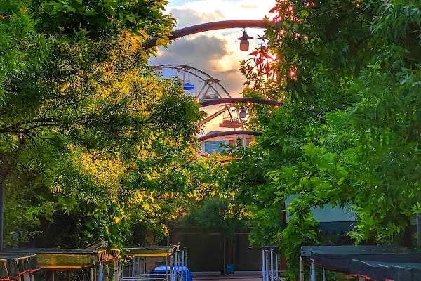 Lunapark (family park) - Resim 18