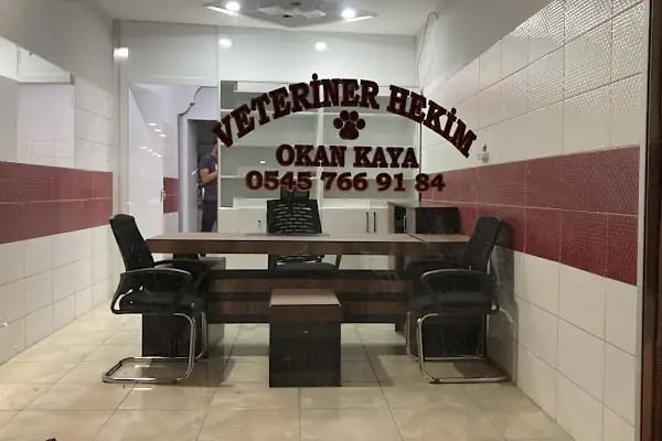 Kaya Veteriner Kliniği - Resim 4