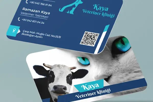 Kaya Veteriner Kliniği - Resim 1