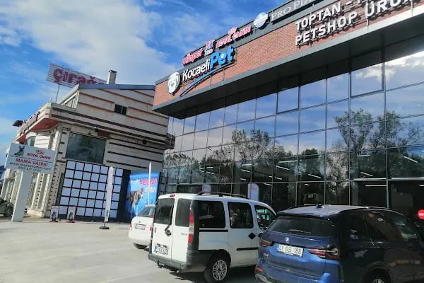 KOCAELİ PET TOPTAN PERAKENDE PET SHOP ÜRÜNLERİ - Resim 7