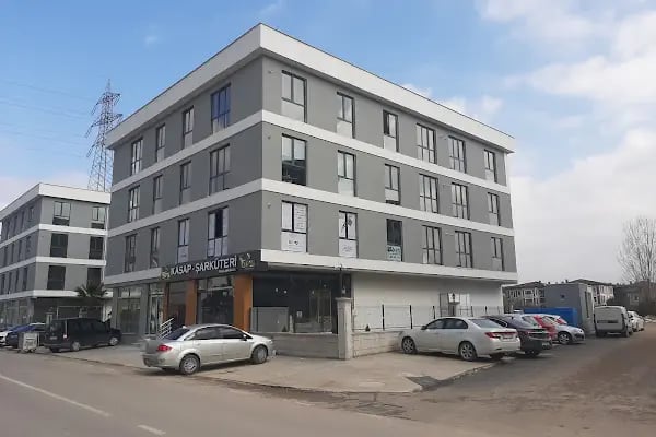 Ay Psikoloji Aysu Sille - Resim 8