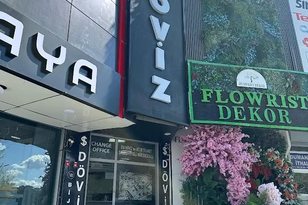 ifa doviz - Resim 1