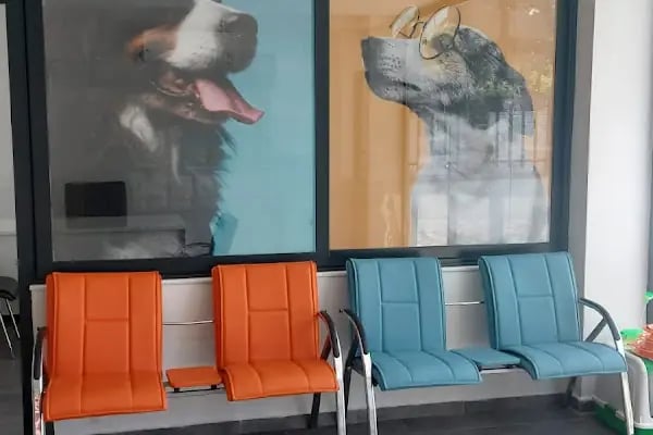 Sirius Veteriner Kliniği - Resim 12